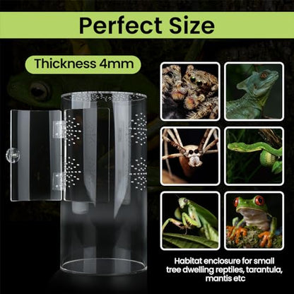 Front Opening Terrarium Jumping Spider Enclosure,Tall Arboreal Tarantula Enclosure Terrarium with Cross Ventilation,Waterproof Acrylic Reptile Enclosure - size: 12*6*6in