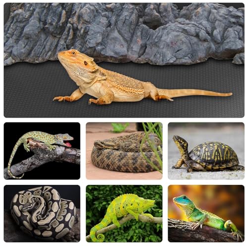 120 Gallon Reptile Terrarium Liner, Bearded Dragon Mat for 4x2x2 Enclosure | Bearded Dragon Tank Accessories 24 inch Wide, Reptile Flooring Carpet Substrate for Leopard Gecko,Lizard, 24" X 96", Black - size: 24 X 96-inches