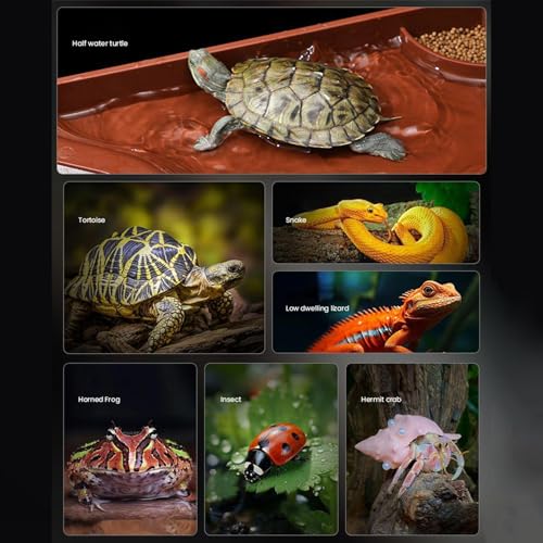Reptile Pool Anti-Slip Tortoise Water Bowl with Ramp | Reptile Soaking Tray Bath Pool Basins for Gecko Snake Bearded Dragon
