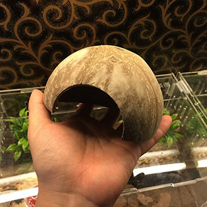 Hypeety Natural Coconut Reptile Habitat Hideout Hermit Crab Hut for Tank | Natural coconut shell, sturdy fish hide cave, organic non-toxic aquarium decoration, for reptile/lizard/spider/hamster/snake