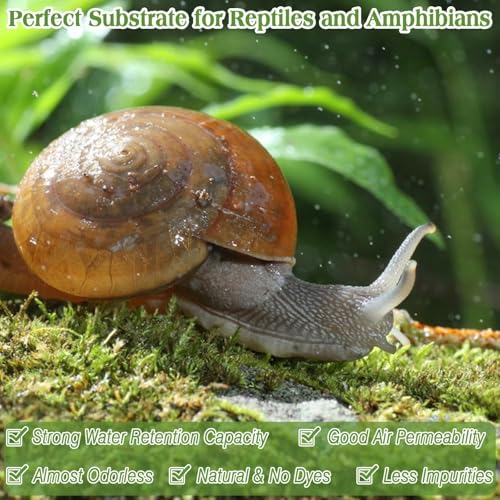 Sphagnum Moss for Reptiles, 6 oz Natural Terrarium Bedding Substrat | Long-fibered Sphagnum Moss for Reptile, Holds Humidity for Bearded Dragons, Geckos, Snakes, Turtles, and Hermit Crabs - size: 6 OZ