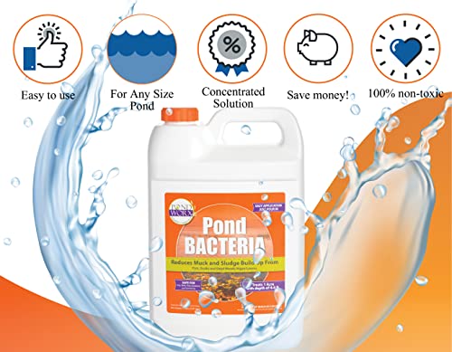PondWorx Pond Bacteria - Formulated for Large Ponds, Water Features and Safe for Koi - Gallon - size: 1 Gallon (128oz)