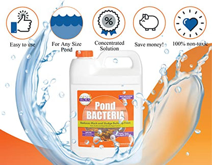 PondWorx Pond Bacteria - Formulated for Large Ponds, Water Features and Safe for Koi - Gallon (Pack of 2) - size: 1 Gallon (128oz) (Pack of 2)