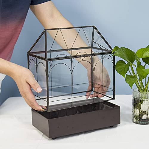 Large Tall Glass Plant Terrarium – House Succulent Terrarium Kit with Lip and Tray Glass Greenhouse Terrarium for Plant 9.5”X5.7”X11.4” - color: Black 3