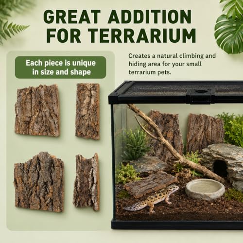 SHINEOFI 4 Pack Natural Cork Bark Reptile Hides for Terrariums | Random-shaped bark pieces for hides, basking platforms and enclosure landscaping for geckos, lizards, snakes and tortoises