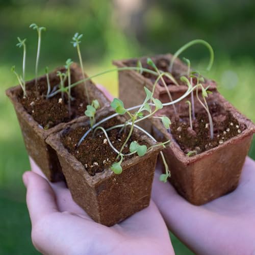 Seed Starting Soil Mix 4qt, Seed Starter Seedling Soil Ready to Use Suitable for Vegetable, Flower, Houseplant and Bonsai - color: Seedling Soil, size: 4qt