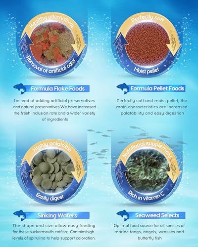 Ocean Nutrition Formula Two Pellets - Fish Food for Herbivorous & Omnivorous Marine Tropical Fish, High Protein(40%) - 7 oz (200 g) Small Pellets - size: 7 Ounce (Pack of 1), style: Small Pellet Size (+/- 1.2mm)