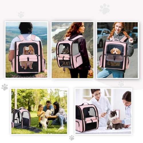 Large Cat Backpack Carrier Expandable Foldable Pet Carrier Backpack for Small Dogs Puppy Medium Cats Fit Up to 18 Lbs for Travel, Hiking,Pink - color: Pink
