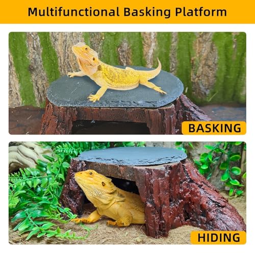 Bearded Dragon Basking Platform,Reptile Hide Cave with Heat Storage Slate Rock,Leopard Gecko Climing Decor Tank Accessories for Turtle,Ball Pythons,Lizard,Snake,11×7×3.5 inch