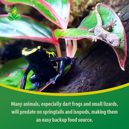 Josh's Frogs Isopods and Springtails Bundle, 25 ct/8 oz | Dwarf Tropical White Isopods, Temperate Springtails, Bioactive Clean Up Crew Bugs