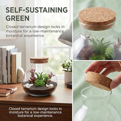 NUOBESTY Glass Terrarium Jar with Cork Lid (No Plants) | 6x6.3 Inch Closed Terrarium for Succulent Moss and Fern, DIY Miniature Desktop Garden for Home & Office Decor