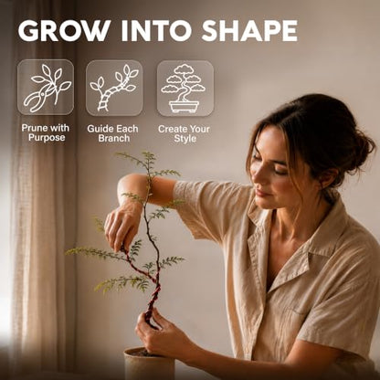 Bonsai Tree Kit Deluxe - Growing 5 Unique Japanese Bonzai Trees | Complete Indoor Bonsai Starter Kits for Growing Trees – Plant Lovers Gifts for Women & Men