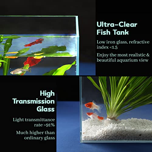 LAQUAL 10 Gallon Ultra Clear Glass Fish Tank, Rimless Low Iron Aquarium for Betta/Nano/Goldfish/Snail/Shrimp, Big Fish Tank & Cover Set & Feeding Ring & Cleaning Tools - color: 10 Gal