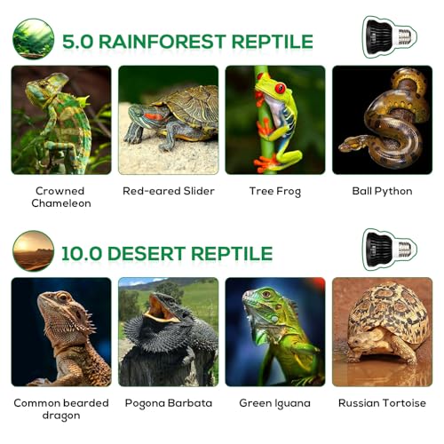 High Intensity UVB Reptile Light Bulb 5.5W 5.0 Full Spectrum UVA UVB for Reptiles simulating Sunlight Promote Synthesis of Vitamin D3 in Reptile Pets for Turtle,Lizard,Bearded Dragon - size: 5.5W5.0