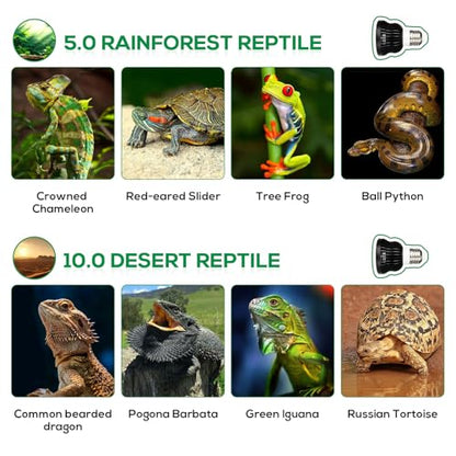 High Intensity UVB Reptile Light Bulb 5.5W 5.0 Full Spectrum UVA UVB for Reptiles simulating Sunlight Promote Synthesis of Vitamin D3 in Reptile Pets for Turtle,Lizard,Bearded Dragon - size: 5.5W5.0