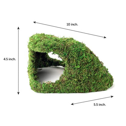 Galápagos (05370) Mossy Sapa Corner Hide - The Perfect Reptile Hide for Security and Comfort - A Natural and Secure Hide for Reptiles, Amphibians, and Invertebrates, L10” x W5.5” x H4.5”