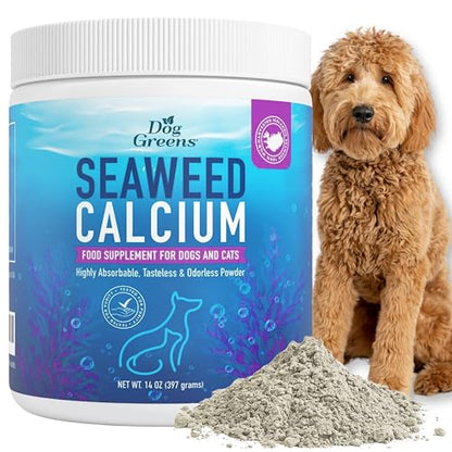Seaweed Calcium Powder for Dogs and Cats - Vet Recommended Calcium Supplement for Dogs with 72 Trace Minerals, Wild Icelandic Marine Algae for Strong Bones, Teeth, Joints and Muscles, 14oz