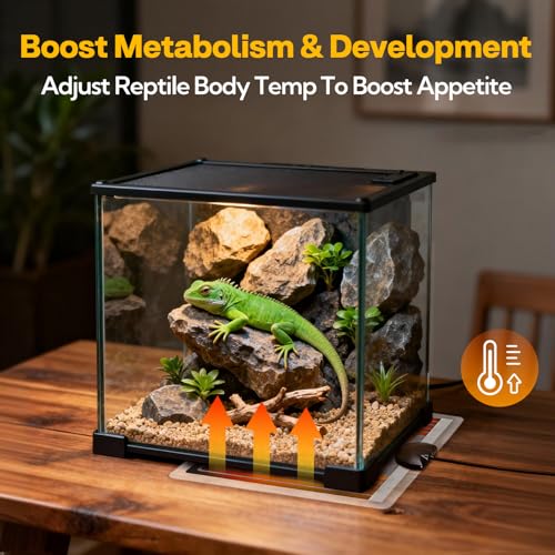 Reptile Heating Pad 6x5.5 Inch Under Tank Heater, 5W Low Energy Graphene Heating Mat for Terrarium, Safe & Even Warming for Snake Lizard Gecko Turtle Frog Hermit Crab Plastic/Glass Cages - size: upgrade 5W ( 6 x 5.5 Inch)