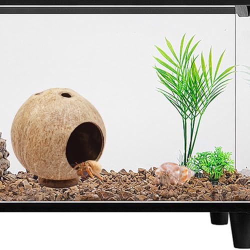 Hermit Crab Accessories, Natural Coconut Habitat Hide with Base, Reptile Tank Accessories, Coconut Hide, Habitat Hideout for Hermit Crab, Tarantula, Gecko and Other Small Animals