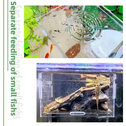 Acrylic Fish breeding Box, Fish Separation Breeder Box Acrylic Fish Tank Breeding Isolation Box for Aquarium Hatchery Incubator with Suction Cups for Baby Fishes Shrimp Clownfish (6*4*4inch)