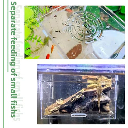 Acrylic Fish breeding Box, Fish Separation Breeder Box Acrylic Fish Tank Breeding Isolation Box for Aquarium Hatchery Incubator with Suction Cups for Baby Fishes Shrimp Clownfish (6*4*4inch)