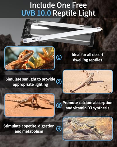 LUCKY HERP T5 Reptile Light Fixture Combo Kit 8W (New Upgrade), 10.0 UVB Light for Reptiles and Amphibians, UVA UVB Basking Light Desert Lamp for Lizard, Bearded Dragon, Tortoise 12inch - size: 12 Inch