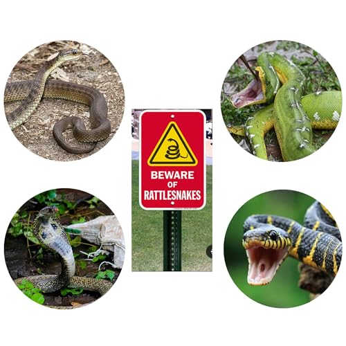 Snake Capture Net with Telescopic Handle, Tools for Handling Snakes and Reptiles Removing and Catching Place Snakes Into The Net Bag