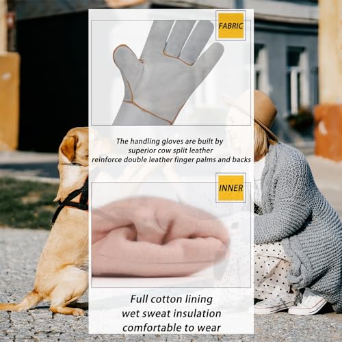 Animal Handling Gloves Used for Dog Training Cats to Catch Falcons, Reptiles to Catch Snakes
