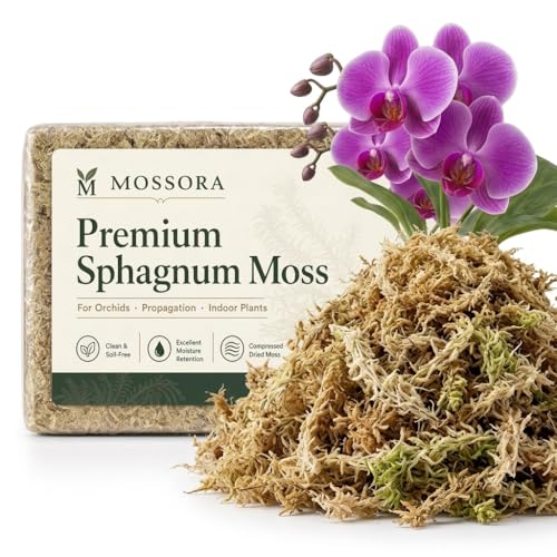Premium Sphagnum Moss, Compressed Dried Brick, for Orchids, Plant Propagation, Carnivorous Plants and Reptile Bedding (18 QT(Appx.10.5oz)) - color: 18 QT(Appx.10.5oz)