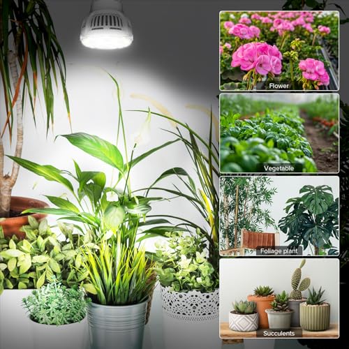 A15 7W Full Spectrum Grow Light Bulbs, E26, 3 Pack | 7W LED format in a 3-pack for indoor growing setups;Ceramic housing with chip-on-ceramic construction. - size: 3 Pack