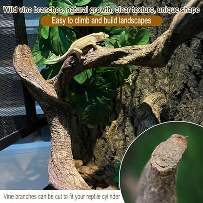 Reptile Decor 4PCS Natural Forest Branch Terrarium Habitat Wood Decoration Lizard Climbing Tree Branch for Bearded Dragon Gecko Snake Frog Chameleon Spider