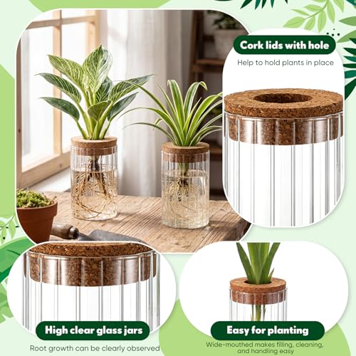 6 Set Propagation Station Jar Desktop Glass Planter Station Flower Vases Water Terrarium Jar with Cork Lid for Propagating Flower Plants Centerpiece Office Home Garden Decor (Small) - size: Small