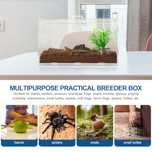Abaodam Reptile Terrarium Acrylic Tank 25x15x15cm Enclosure with 4pcs Starter Kit for Lizards, Tarantulas, Frogs, Suitable for Home Breeding and Pet Habitat