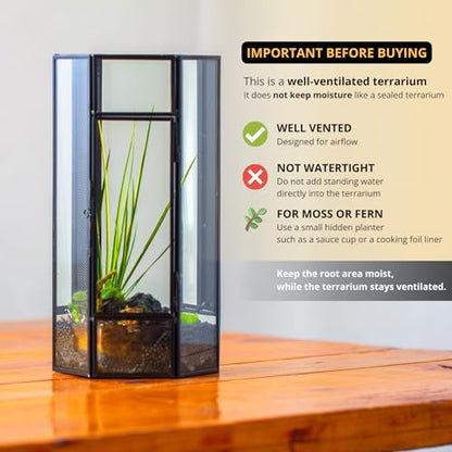 NCYP Small Glass Enclosure Terrarium with Mesh and Door for Spiders - Hexagon Shape Small Mantis Vented Glass Terrarium 4.9'' x 4.3'' x 9.4'', Tabletop Decor, Black (Plants Not Include)