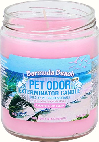 0 Pet Odor Exterminator Candle - color: Bermuda Beach
