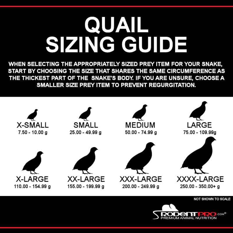 RodentPro Frozen Reptile Feeder Small Coturnix Quail (25 Count)