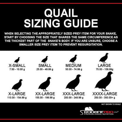 RodentPro Frozen Reptile Feeder Small Coturnix Quail (25 Count)