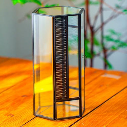 NCYP Small Glass Enclosure Terrarium with Mesh and Door for Spiders - Hexagon Shape Small Mantis Vented Glass Terrarium 4.9'' x 4.3'' x 9.4'', Tabletop Decor, Black (Plants Not Include)