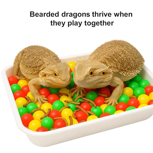 Bearded Dragon Enrichment Kit Toy, Foraging Toys with 100 Plastic Balls, Feeding Tray & Tweezers for Bearded Dragons to Play with – Bearded Dragon Toy for Reptiles