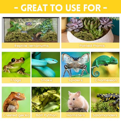 Riare 2.6lb Natural Sphagnum Moss for Reptiles, Terrarium Substrate Bedding | 100QT High Expansion, Moisture Retention, Helps Shedding, Long Fibered Dried Moss for Leopard Gecko, Snake, Frog, Turtle - color: 2.6 LB