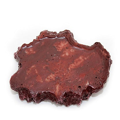 OMEM Reptile Natural Bowl Food and Water Dish Resin Made (2PCS- Red S)