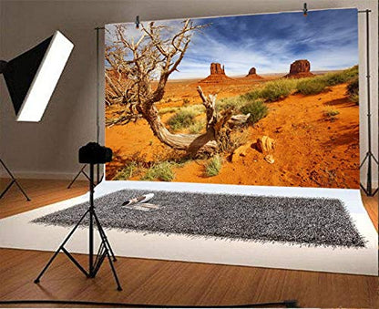 Leyiyi 6x4ft Monument Valley Photography Background American National Park Navajo Tribal Park Cowboy Western Desert Plant Rock Dry Trunk Warship Landmark Film Polyester Backdrop Terrarium Background - color: Desert4, size: 6x4ft-P