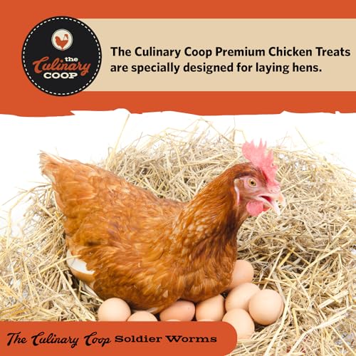 Fluker's Culinary Coop Bulk Dried Soldierworms, Premium Organic Dried Soldierworms for Chickens-High Protein & Omega3 Chicken Feed for Wild Birds, Reptile,& Chicken Treats for Laying Hens, 10lbs - size: 10 pound (Pack of 1)