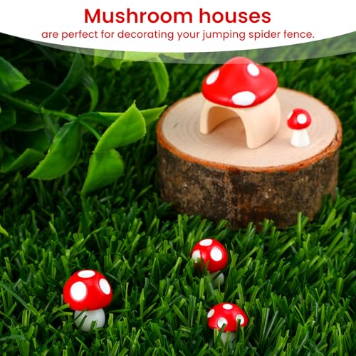 5PCS Jumping Spider Accessories with Mushroom Styling Platforms Enclosure, Spider Habitat Decor with Mushroom Hide, Resin Spiders Accessories and Jumping Spiders Enclosure Deco