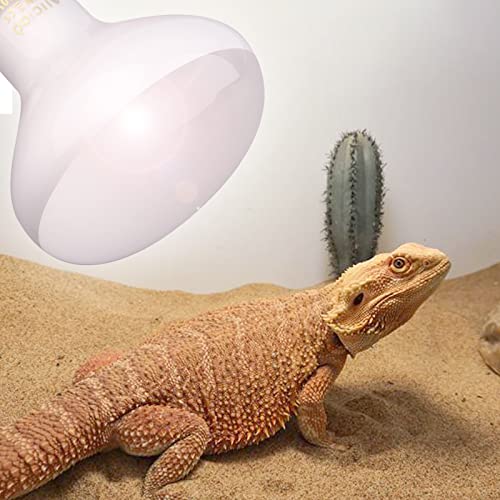 Aiicioo Reptile Basking Light Bulb - 100W Reptile Heat Lamp Basking Bulb Incandescent Light Bulb for Bearded Dragon Turtle Hermit Crab Gecko Lizard Daylight 4 Pack