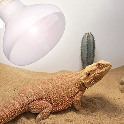 Aiicioo Reptile Basking Light Bulb - 100W Reptile Heat Lamp Basking Bulb Incandescent Light Bulb for Bearded Dragon Turtle Hermit Crab Gecko Lizard Daylight 4 Pack
