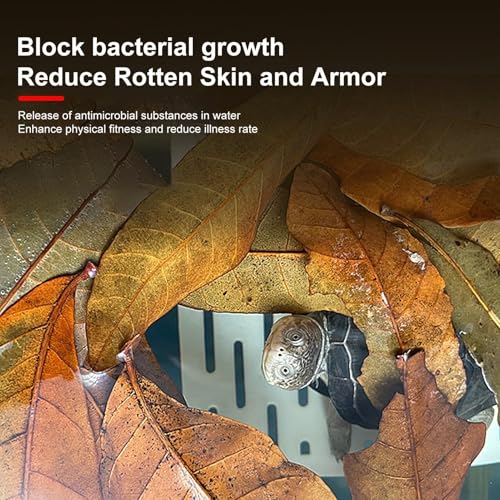 Longan Leaf Litter - Natural Pet Habitat Leaves Pack 50 Pieces, Soft Turtle Leaf Bedding Design | Clean Aquarium Foliage Cover for Frogs Fish Snakes Shrimp Lizards Tortoises Home Use
