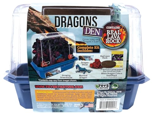 Toys By Nature Miniature Worlds Dragon's Den Flower Windowsill Terrarium Starter Kit, Complete Supplies to Grow Your Own Indoor Mythical Lair with Dragon Figurine and Lava Rock (Dragon's Den) - style: Dragon's Den