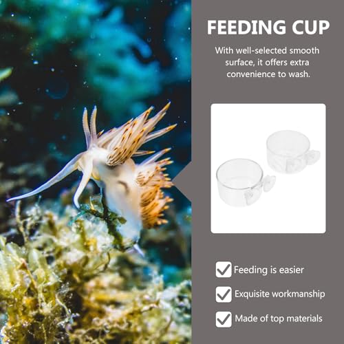 STOBAZA 2pcs Fish Tank Feeding Plates with Red Worm Plant Cups, Plastic Aquarium Feeder Dish for Fish and Shrimp, Wall-Mounted Floating Food Holder for Aquarium Feeding Supplies
