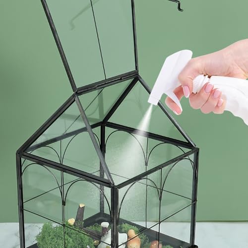 Glass Terrarium with Metal Tray, Glass Greenhouse Terrarium Kit | for Succulents, Cacti, Snails, Spiders, and Miniature Reptiles, Black (Small-5.9" L x 5.9" W x 10.2" H) - size: Small-5.9"L x 5.9"W x 10.2"H